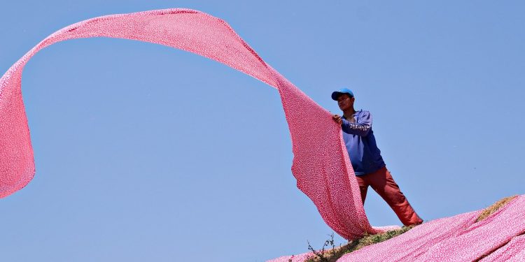 pink, clothes, fabric, drying, worker, textile, pink, fabric, fabric, fabric, fabric, fabric, textile, textile, textile